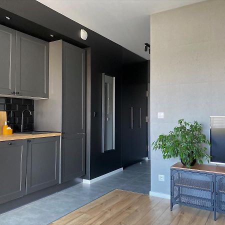Apartament City Spa - Sokolska 30 Towers Katowice Eksteriør billede